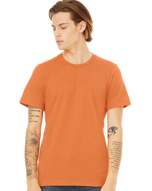 3001 Bella Canvas Shirt