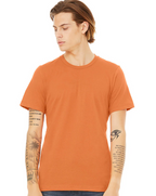 3001 Bella Canvas Shirt